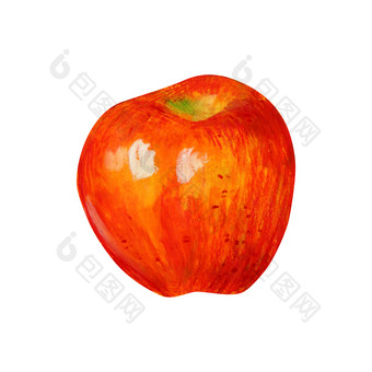 一个红色的苹果孤立的白色<strong>背景</strong>黄色的橙色红色的绿色水果手绘石油柔和的插图为食物标签设<strong>计生</strong>态产品一个红色的苹果孤立的白色<strong>背景</strong>