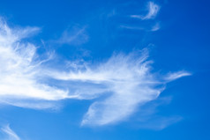 密集的白色云的蓝色的天空火鸡