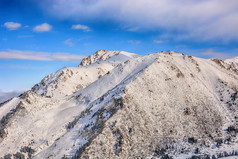 风景优美的高山景观与和山范围森林和白雪覆盖的山上衣的背景国家公园吉尔吉斯斯坦不错的视图