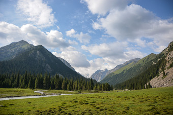 美丽的景观森林与岩石冷杉树和蓝色的天空山吉尔吉斯斯坦和平户外场景