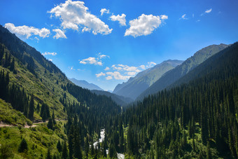 美丽的景观森林与岩石冷杉树和蓝色的天<strong>空山</strong>吉尔吉斯斯坦和平户外场景
