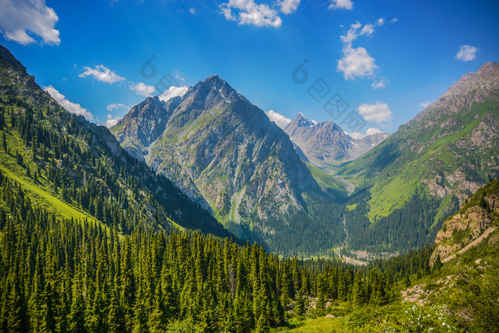山森林景观下一天天空与云特斯基alatoo山tian-shan警察局吉尔吉斯斯坦山森林景观下一天天空与云特斯基alatoo山
