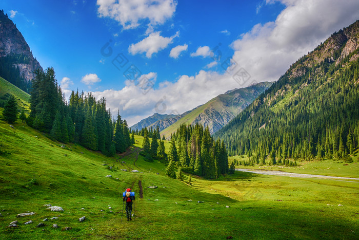 田园夏天景观与徒步旅行者的山与美丽的新鲜的绿色山牧场和森林概念户外活动和冒险tian-shan警察局吉尔吉斯斯坦田园夏天景观与徒步旅行者的山与美丽的新鲜的绿色山牧场和森林
