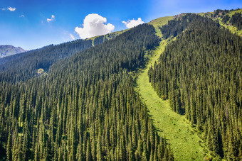 山森林景观下一天天空与云特斯基alatoo山tian-shan警察局吉尔吉斯斯坦山森林景观下一天天空与云警察局吉尔吉斯斯坦