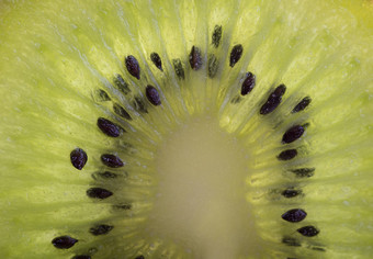 片新鲜的成熟的猕猴桃绿色水果前视图一半猕猴桃素食主义者素食者健康的食物饮食概念维生素