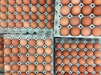 鸡蛋包很多的相同排序