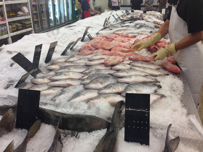 冻鱼的市场排序的鱼