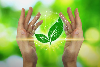 手是保护与叶和环境图标在的网络连接自然背景技术生态概念环境保护概念