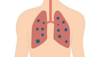 病毒人类<strong>呼吸系统</strong>和肺