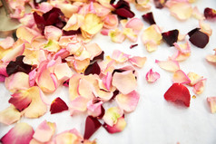 玫瑰叶子地面后婚礼