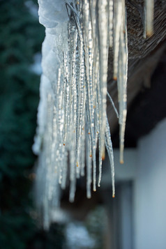 冷冰冰的人挂下来从雪屋顶