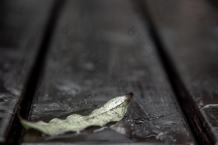 特写镜头照片的老棕色（的）乡村木板材地板上和下降叶子后雨与反射灯复制空间区域为文本刻字