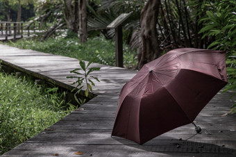 的深红色的伞放置木人行道阳光明媚的一天