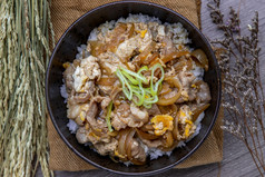 日本猪肉大米碗与蛋和洋葱donburi木表格日本食物风格