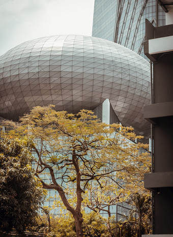 曼谷泰国三月小鹿绿色叶子树对的背景现代高层建筑设计玻璃和混凝土阳光明媚的一天的美景观设计前面的建筑体系结构的曼谷城市焦点具体地说