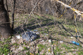 垃圾分散的森林生态瓶罐和其他垃圾分散的森林垃圾分散的森林瓶罐和其他垃圾分散的森林