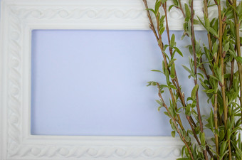 白色框架与分支机构绿色柳树蓝色的背景复制空间的中间为你的文本柳树树枝白色框架与分支机构绿色柳树蓝色的背景复制空间的中间为你的文本