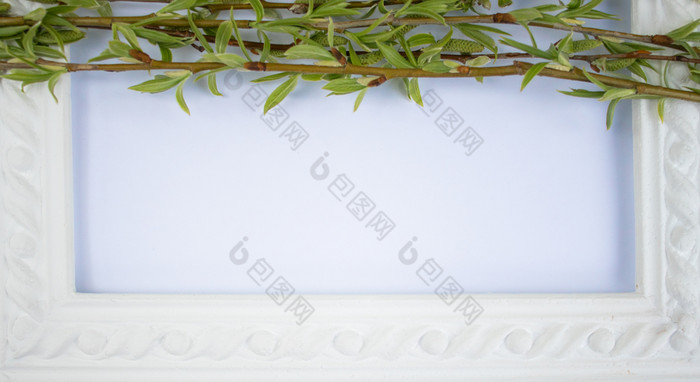 白色框架与绿色柳树分支机构白色背景复制空间的中间为你的文本柳树树枝白色框架与绿色柳树分支机构白色背景复制空间的中间为你的文本