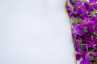 白色表纸燃烧的边缘紫色的花从的边缘离开房间为文本概念背景白色表纸燃烧的边缘紫色的花从的边缘离开房间为文本