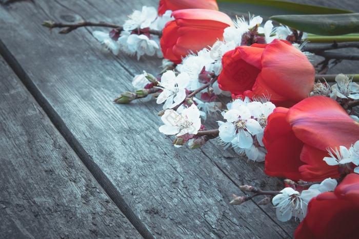 花束红色的郁金香和白色花背景木老董事会的地方为文本的概念春天有来视图从以上横幅3月复活节花束红色的郁金香和白色花背景木老董事会的地方为文本的概念春天有来