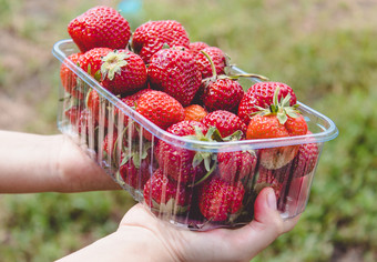 部分盒子新鲜的多汁的草莓<strong>维生素</strong>健康的<strong>食物</strong>营养<strong>维生素</strong>部分盒子新鲜的多汁的草莓