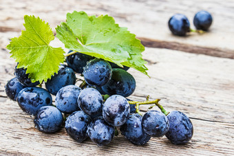 蓝色的葡萄与滴水和绿色叶子分散老木董事会群葡萄木表格特写镜头蓝色的葡萄与滴水和绿色叶子分散老木董事会群葡萄木表格