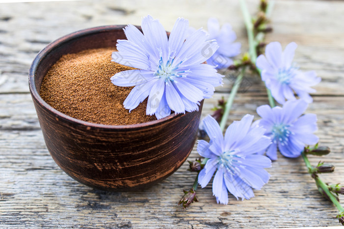 蓝色的菊苣花和碗即时菊苣粉老木表格菊苣粉的概念健康的吃喝咖啡替代蓝色的菊苣花和碗即时菊苣粉老木表格菊苣粉的概念健康的吃喝