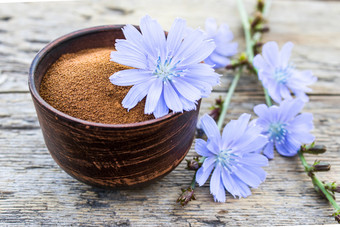 蓝色的菊苣花和碗即时菊苣粉老木表格菊苣粉的概念健康的吃喝咖啡替代蓝色的菊苣花和碗即时菊苣粉老木表格菊苣粉的概念健康的吃喝