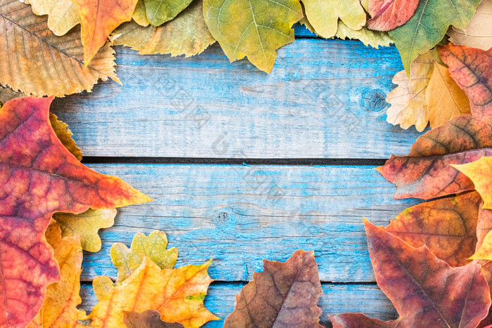 背景与秋天叶子蓝色的老董事会背景与秋天叶子复制空间为登记色彩斑斓的叶子背景与秋天叶子蓝色的老董事会背景与秋天叶子复制空间为登记