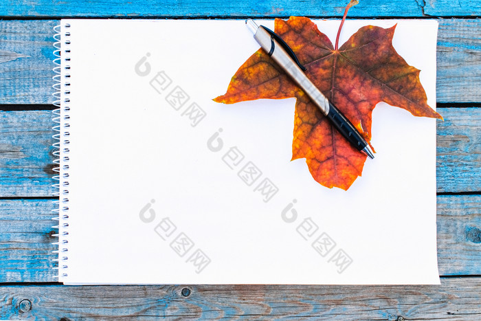红色的秋天叶白色纸蓝色的老董事会背景与秋天叶子复制空间为登记秋天叶子红色的秋天叶白色纸蓝色的老董事会背景与秋天叶子复制空间为登记