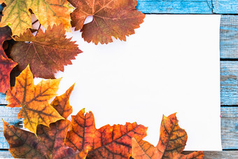 背景与秋天叶子蓝色的老董事会背景与秋天叶子复制空间为登记色彩斑斓的叶子背景与秋天叶子蓝色的老董事会背景与秋天叶子复制空间为登记