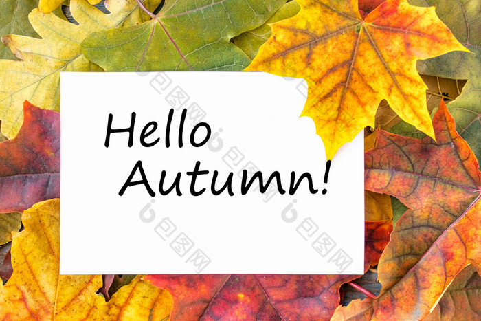 标签与的单词你好秋天白色表和色彩斑斓的秋天叶子背景与秋天叶子复制空间为登记秋天叶子标签与的单词你好秋天白色表和色彩斑斓的秋天叶子背景与秋天叶子复制空间为登记