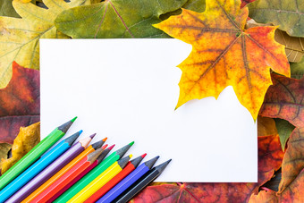 色彩斑斓的秋天叶子和五彩缤纷的铅笔附近白色纸与的地方为文本背景与秋天叶子复制空间为登记学校概念色彩斑斓的秋天叶子和五彩缤纷的铅笔附近白色纸与的地方为文本背景与秋天叶子复制空间为登记