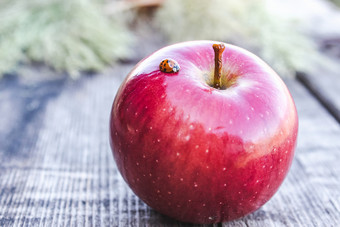 成熟的红色的苹果谎言木表格维生素和健康的饮食素食者概念特写镜头成熟的红色的苹果谎言木表格维生素和健康的饮食素食者概念