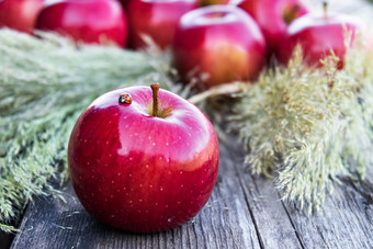 成熟的多汁的红色的苹果<strong>谎言</strong>木表格维生素和健康的饮食素食者概念特写镜头成熟的多汁的红色的苹果<strong>谎言</strong>木表格维生素和健康的饮食素食者概念