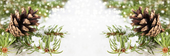 圣诞节作文横幅与绿色分支<strong>机构</strong>圣诞节树和视锥细胞圣诞节假期圣诞节作文横幅与绿色分支<strong>机构</strong>圣诞节树和视锥细胞