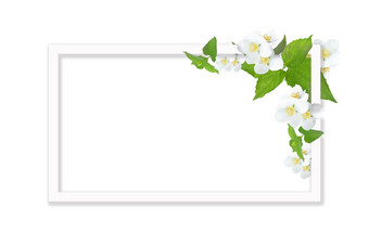 白色框架与的地方为文本白色背景与茉莉花花和绿色叶子问候卡片模板庆祝活动概念白色框架与的地方为文本白色背景与茉莉花花和绿色叶子庆祝活动概念
