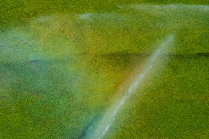 浇水的绿色草坪上夏天得到浇水喷水灭火系统