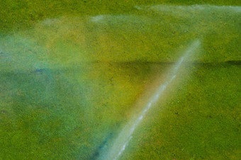 浇水的绿色草坪上夏天得到浇水喷水灭火系统