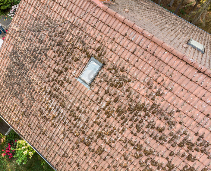 飞越领空的屋顶独栋房子检查的条件的屋顶瓷砖空中视图使与无人机