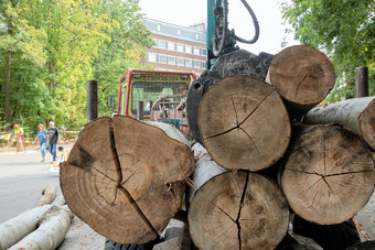 视图从后面桩大日志<strong>加载</strong>的<strong>加载</strong>区域预告片为删除