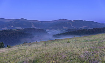 绿色山和蓝色的雾的背景喀尔巴阡山脉的山的雾传播的谷的早....喀尔巴阡山绿色草地和灰色的卷曲的雾山的背景的喀尔巴阡山脉的山的早期早....
