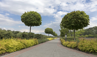 铺走路径美丽的公园通过通过绿色草坪上与装饰花框架这两个国剪灌木和灯笼为照明铺走路径框架与剪灌木和树美丽的公园
