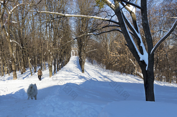 小巷城市公园的雪阳光明媚的一天对蓝色的天空的男人。与他的狗去为走小巷城市公园的雪对蓝色的天空背景
