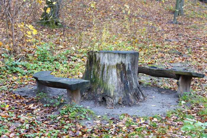 的森林快乐在那里是树桩使用表格和长椅树桩使用表格和长椅在户外的森林