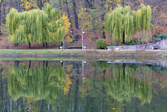 金属露台站之间的美丽的绿色哭泣柳树的海岸池塘秋天公园美丽的绿色哭泣柳树的海岸池塘秋天公园