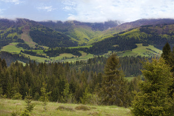 高纤细的<strong>云</strong>杉的<strong>山</strong>坡上的喀尔巴阡<strong>山</strong>脉的<strong>山</strong>全景的峰会的喀尔巴阡<strong>山</strong>夏天对的蓝色的天空和白色<strong>云</strong>美丽的全景的喀尔巴阡<strong>山</strong>脉的<strong>山</strong>夏天对的背景高松柏科的树蓝色的天空和明亮的白色<strong>云</strong>