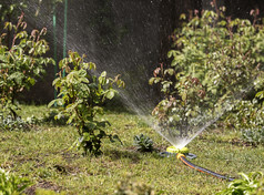 喷雾器可移植的的花园浇水草坪上草和灌木可移植的喷水灭火系统的花园浇水草坪上草和灌木