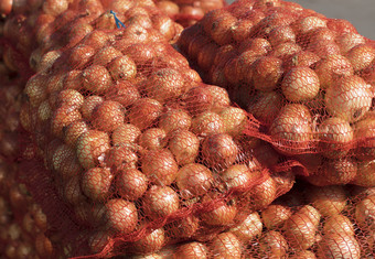 收获成熟的金洋葱出售的市场尼龙袋明亮的阳光明媚的天气洋葱袋是出售的市场