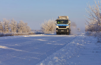 的早期早....车队重卡车游乐设施沿着白雪覆盖的白色路沿着灌木覆盖与银霜车队重卡车驱动器沿着雪白色路